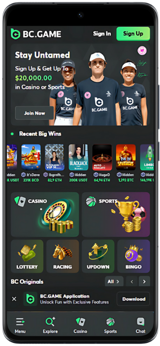 BC Game Screenshot of the website
